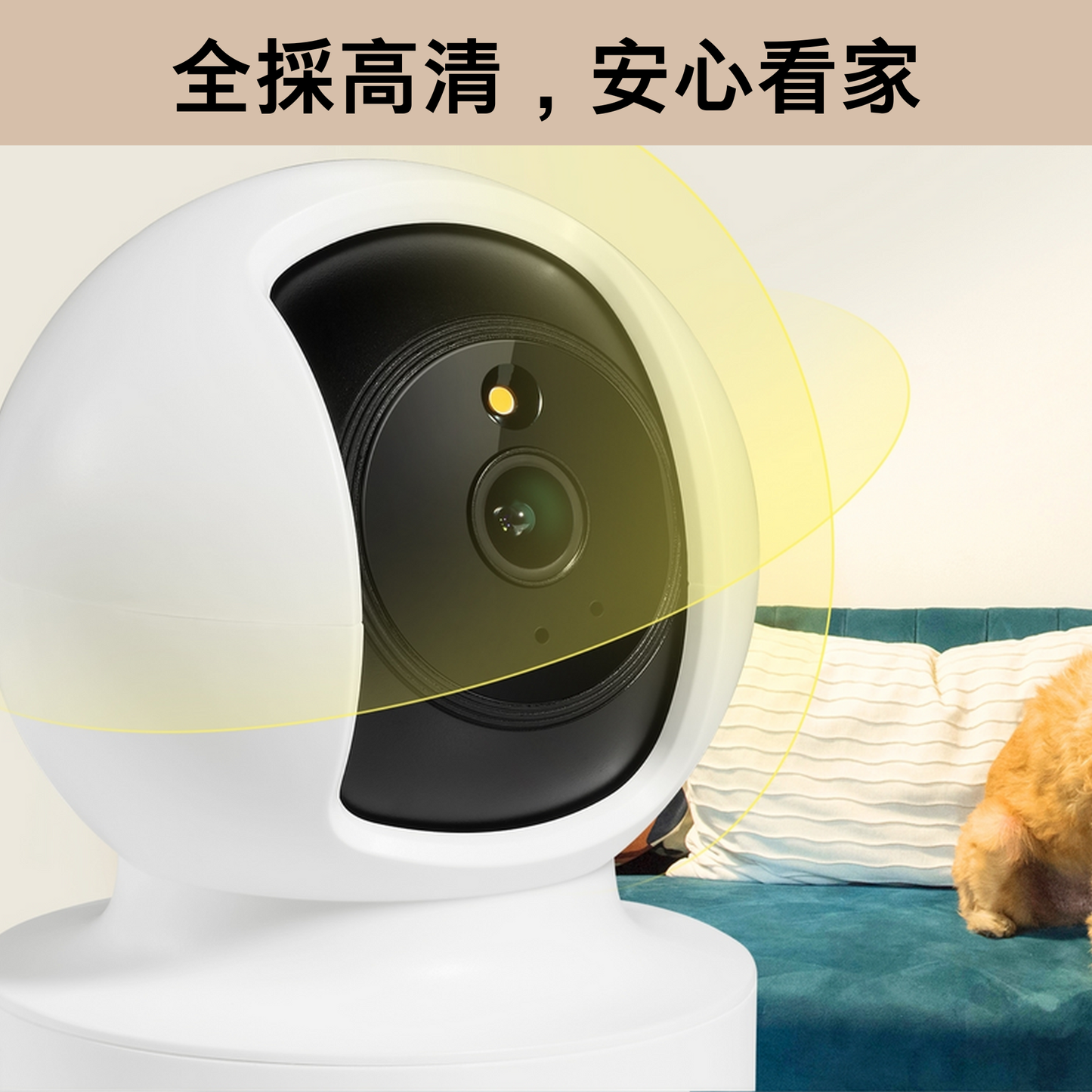 TL-IPC45CL 全彩雲台無線網路攝像機